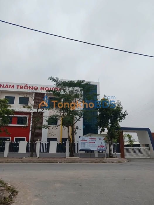 Đất nền Nobel Thanh Hóa 100m² 2.xxx tỷ - Sổ đỏ