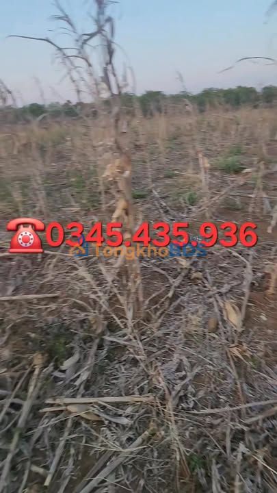 Đất nền Ia Lâu Gia Lai 2.25ha 585 triệu - Tiềm năng tăng giá