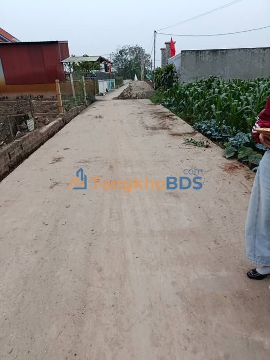 Đất nền Minh Tân Lương Tài 90m² 1,3 tỷ - Đường ô tô vào