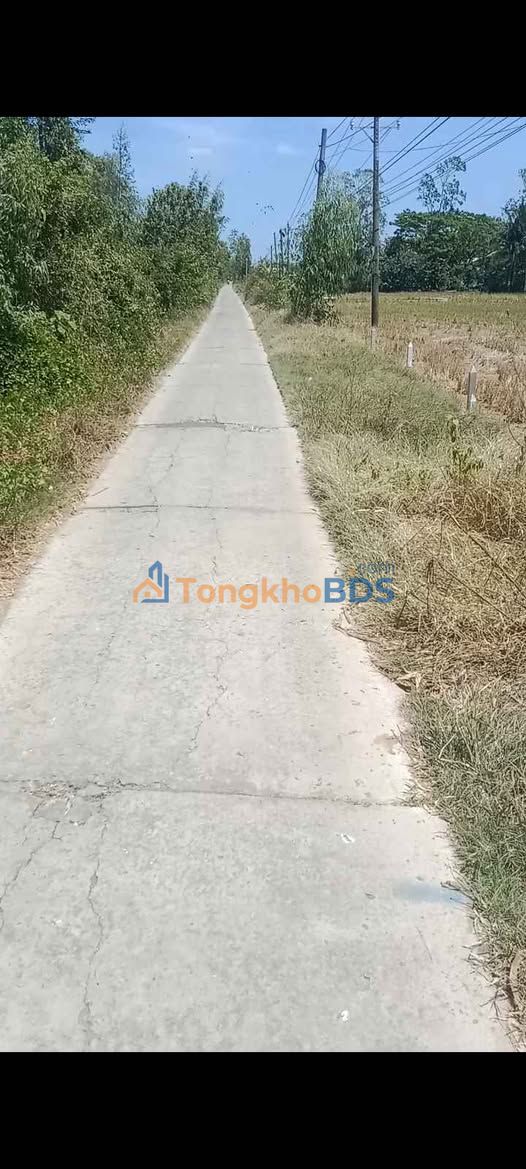 Đất nền Ấp Phú Đức Long Phú 250 triệu - Tiềm năng tăng giá