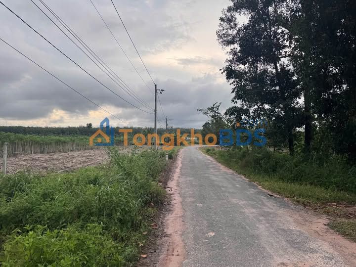 Đất CLN 19600m² Tân Biên, Tây Ninh - Giá 450 Triệu, Sẵn Sàng Lên Thổ Cư