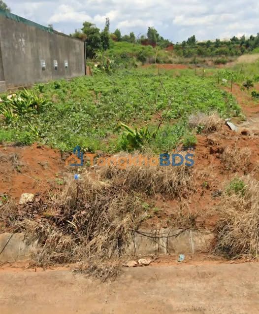 Đất nền Liên Hà 750m² 1.7 tỷ - Đường to ô tô