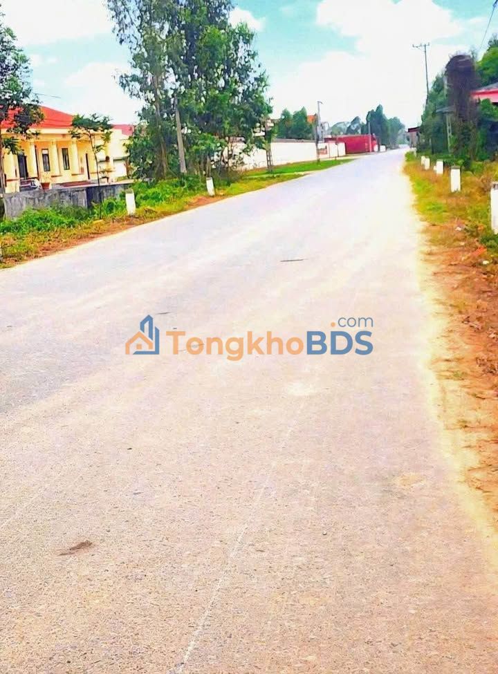 Đất nền Lục Nam 133m² 1.2 tỷ - Sổ đỏ chính chủ