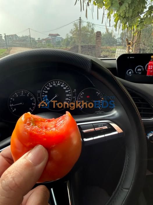 Đất Nền Việt Yên 86.5m² - Ngay Nhà Ở Xã Hội, Tiềm Năng Kinh Doanh Vô Hạn