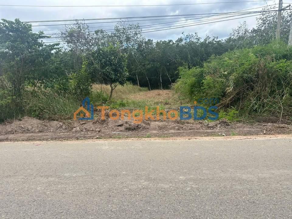 Đất Nền Dầu Tiếng 215m² - Mặt Tiền Đường Bàu Rong, Bình Dương