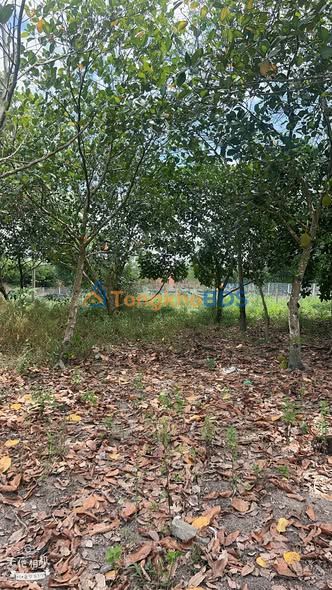 Đất nền Chơn Thành 100m² 4xx triệu - Sổ đỏ chính chủ