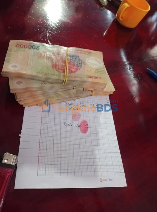 Bán Gấp 1.1ha Đất Vườn Đắk Nông - Ôm Trọn 100m Đường, Giá Tốt