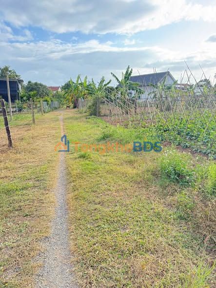 Đất Ninh An Ninh Hòa 142m² 200-299tr - Sổ đỏ chính chủ