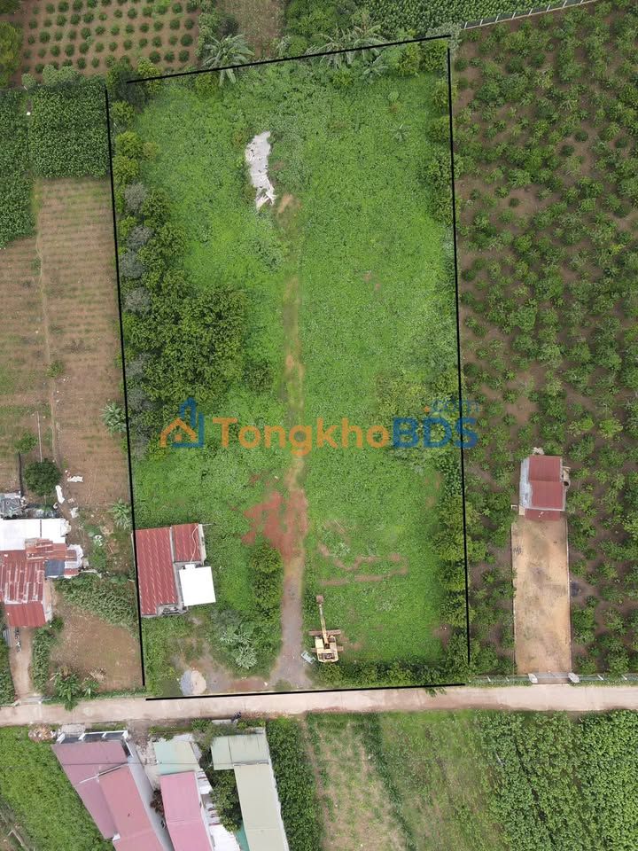Bán Đất 3600m² Mặt Tiền Bê Tông Đinh Văn Lâm, Di Linh - Sổ Hồng Full Thổ Cư