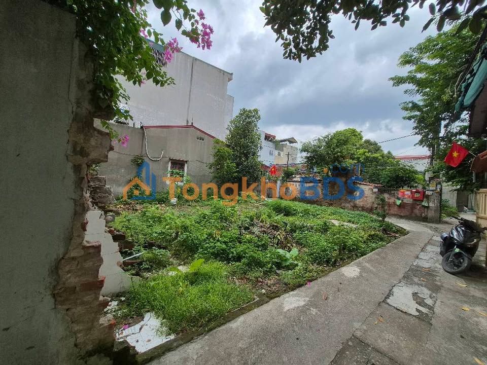 Đất nền Ngũ Hiệp Thanh Trì 50m² 4.15 tỷ - Sổ đỏ chính chủ