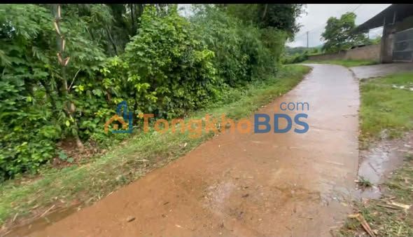 Bán đất farm 2300m² Hòa Bình - Sổ đỏ, mặt đường liên xã