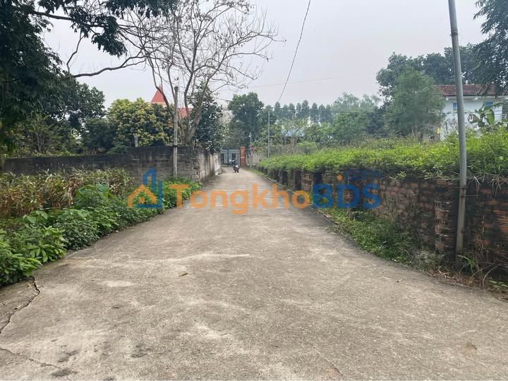 Đất nền Tam Dương Vĩnh Phúc 106m² giá 5xxtr - Sổ đỏ chính chủ