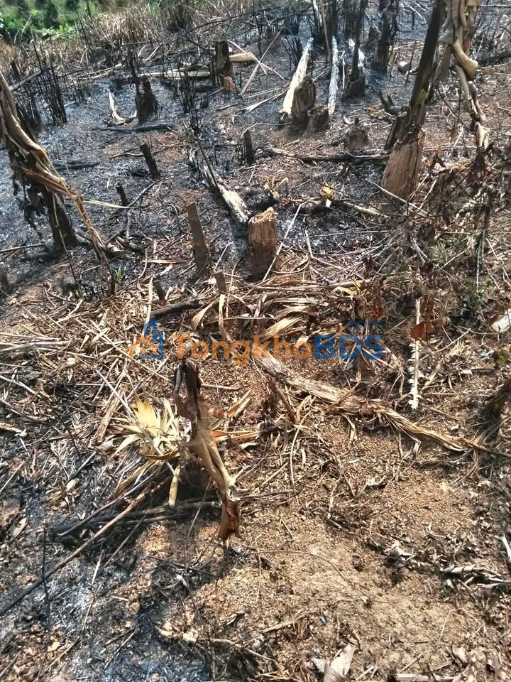 Đất nền Tân Thanh 3ha 700 triệu - Tiềm năng tăng giá