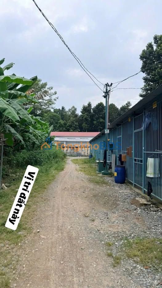 Đất Phước Thiền Nhơn Trạch 115m² 9xx triệu - Sổ đỏ chính chủ