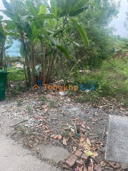 Đất nền Long Thành 105m² 1.9 tỷ - Thổ cư 100%