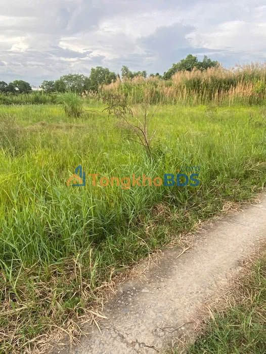 Bán Đất 165m² Gò Công Đông - Sổ Hồng Sẵn Sàng, Giá 160 Triệu