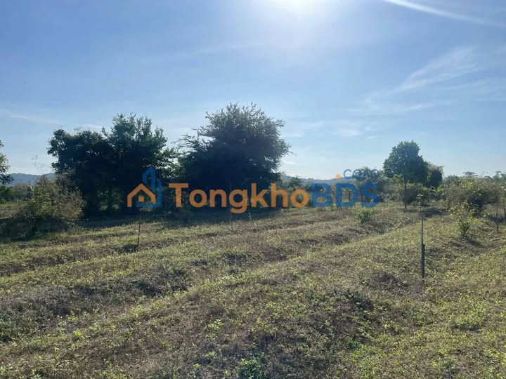 Đất nền Bảo Vinh Ninh Phước 5.000m² 690 triệu - Sổ đỏ chính chủ