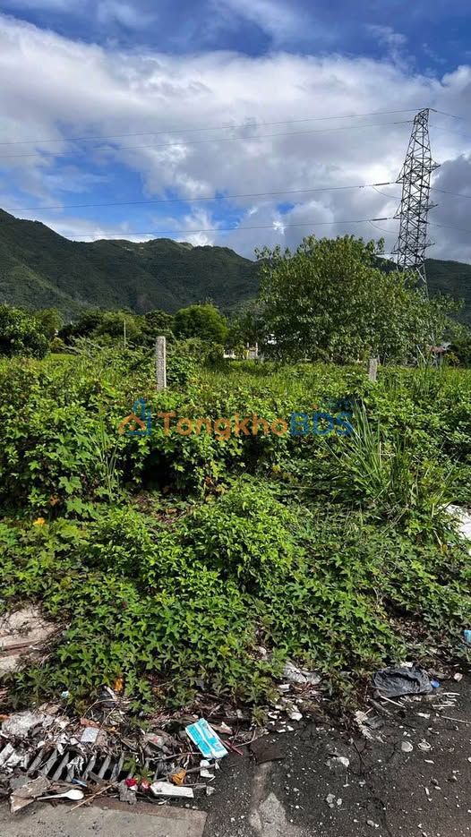 Đất mặt tiền Võ Nguyên Giáp 1200m² - Đường to ô tô