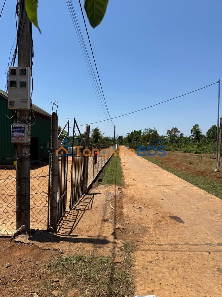 Đất nền Ia Sao Gia Lai 210m² 200 triệu - Đất thổ cư 100%