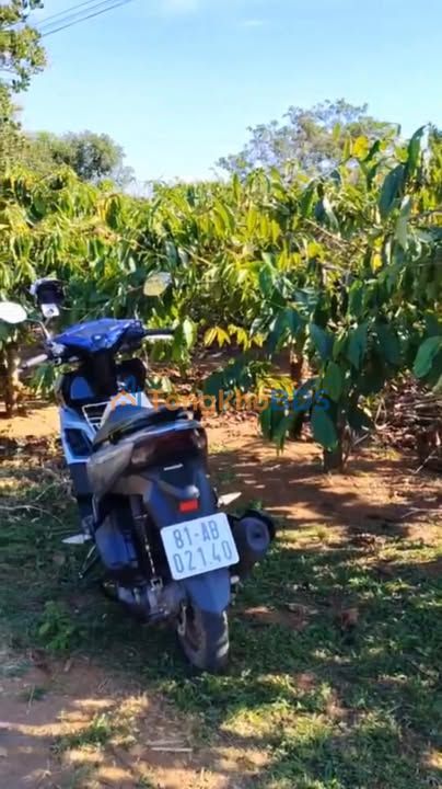 Đất nền Thôn Phủ Hồng Ia Bă Ia Grai 360m² 400 triệu - Đường ô tô