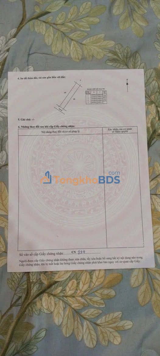 Đất nền Ia Phìn 252m² 390 triệu - Đường to ô tô