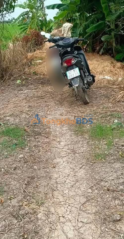 Bán 17 Công Đất Ruộng Kênh Trường Tiền, An Giang - 29 Tỷ