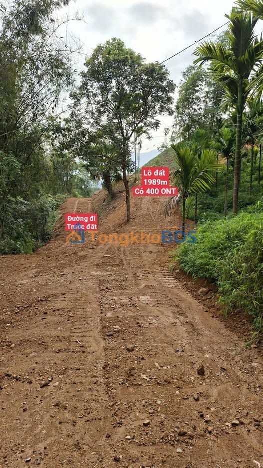 Đất nền Nam Thượng Cao Phong 1.989m² 2 tỷ - Đường ô tô vào