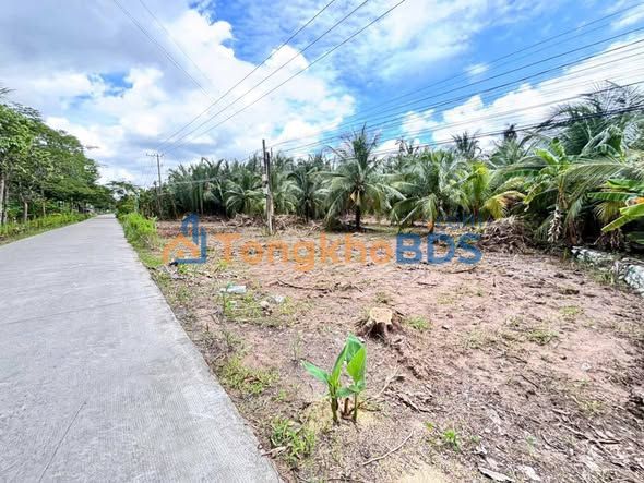 Đất Vườn 1337m² Mặt Tiền Rộng 52m - Giồng Trôm, Bến Tre - Giá 2.35 Tỷ