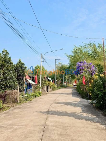 Bán đất 481m² Xã An Linh, Phú Giáo - Xây nhà ở lý tưởng, dân đông