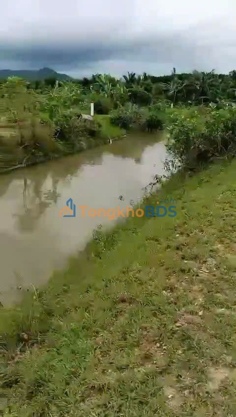 Đất vườn Hàm Phú 828m² 276tr - Nghỉ dưỡng lý tưởng