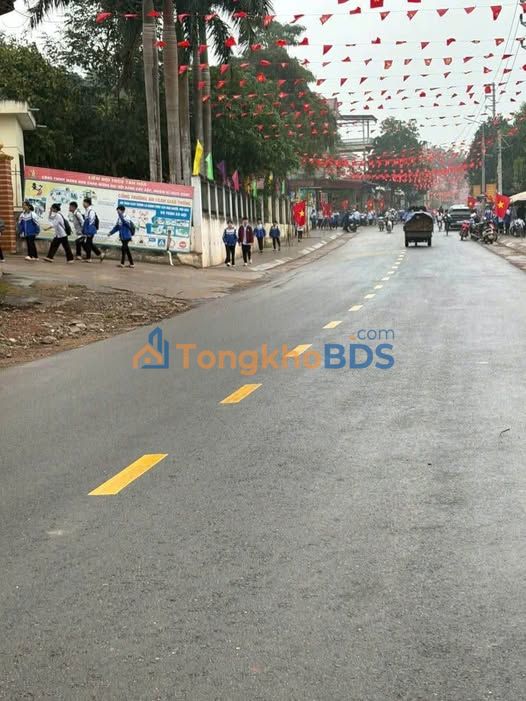 Đất nền Tân Hòa Phú Bình 114m² 2 tỷ - Sổ đỏ chính chủ