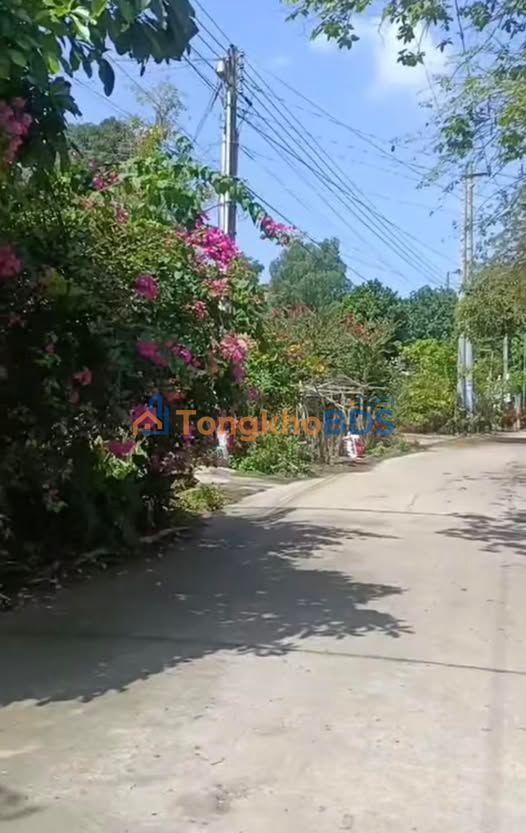 Bán đất Phước Hòa, Tân Uyên 700m² - Sổ hồng sẵn, dân cư đông đúc