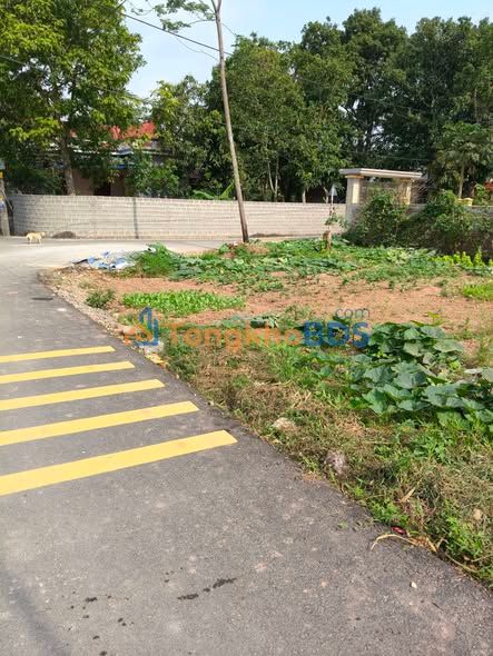 Bán đất nền 62m² Đường Thông, Bình Lục, Hà Nam - Giá 1 tỷ, Sổ đỏ sẵn sàng