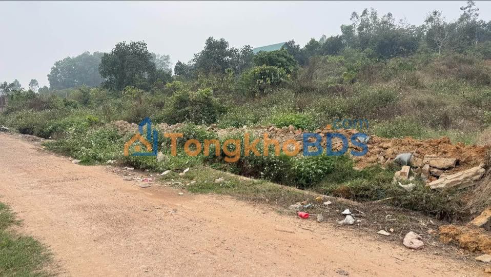 Đất rừng Tam Quan Tam Đảo 4000m² 2.5 tỷ - View đồng xanh