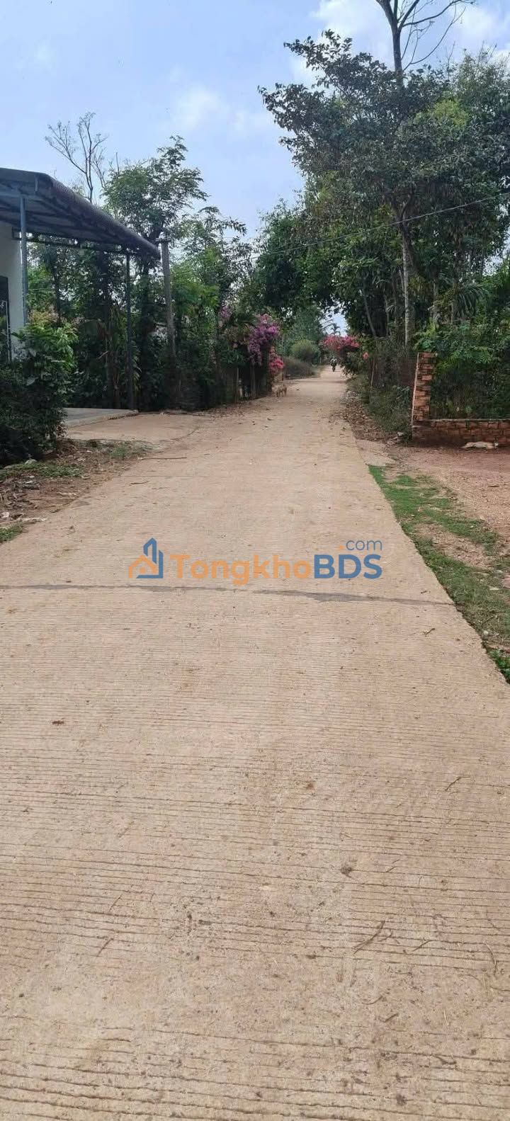 Đất Mặt Tiền Hồ Ea Na, Đắk Lắk - Tặng Nhà C4 Xinh Xắn, Giá Chỉ 4xx Triệu