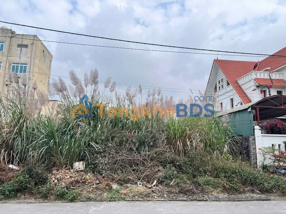 Đất Cẩm Phả Đường 6 270m² 5.4 tỷ - Đường to ô tô