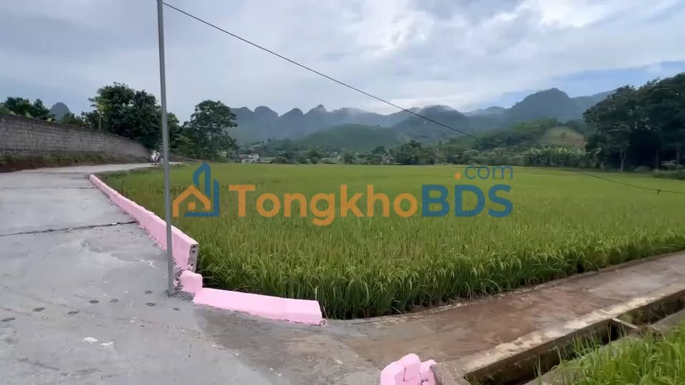 Đất Thanh Oai Hà Nội 1000m² giá 3 tỷ - Sổ đỏ chính chủ