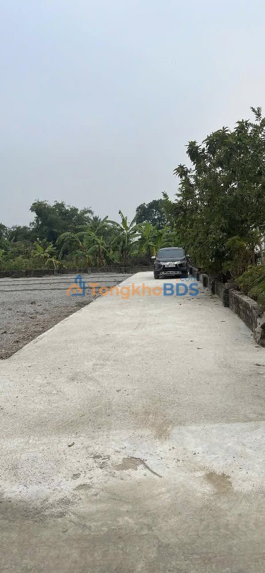 Đất nền Trầm Lộng 81m² thỏa thuận - Đường ô tô vào tận đất