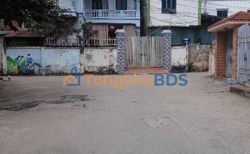 Đất Tam Hưng Thanh Oai 46m² 4,3 tỷ - Sổ đỏ chính chủ