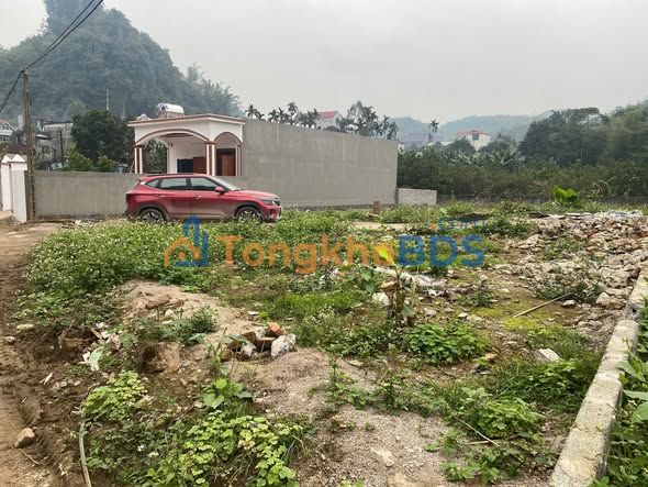 Đất thổ cư Ba Hàng Đồi 804m² - Đường ô tô vào đất