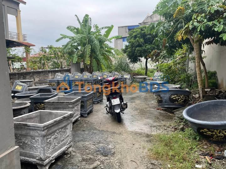 Đất Nguyễn Đại Năng Kinh Môn 102m² 1 tỷ - Sổ đỏ chính chủ