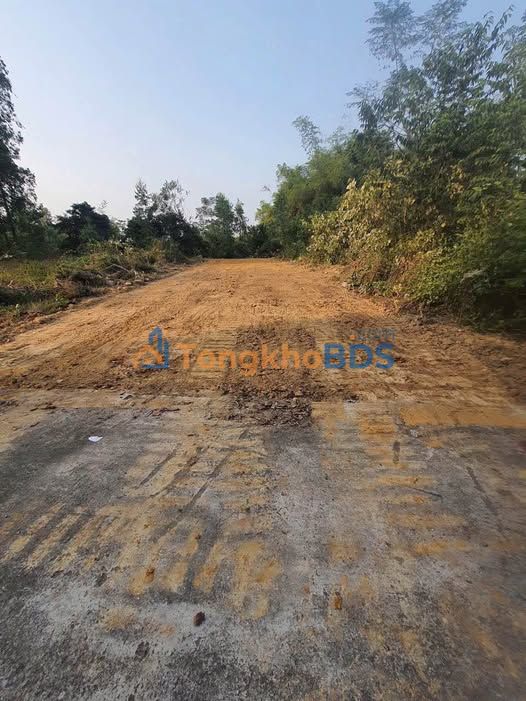 Đất Nền Thôn Quế, Tam Dương 168m² - Sát KCN, Tiềm Năng Tăng Giá Mạnh