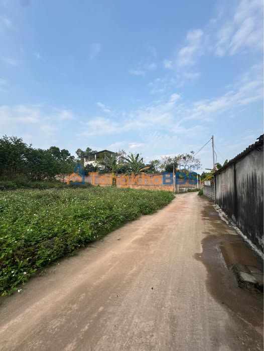 Đất Nền Thôn Mới Tam Dương 116m² - Ngay KCN, Giá 7xx Triệu