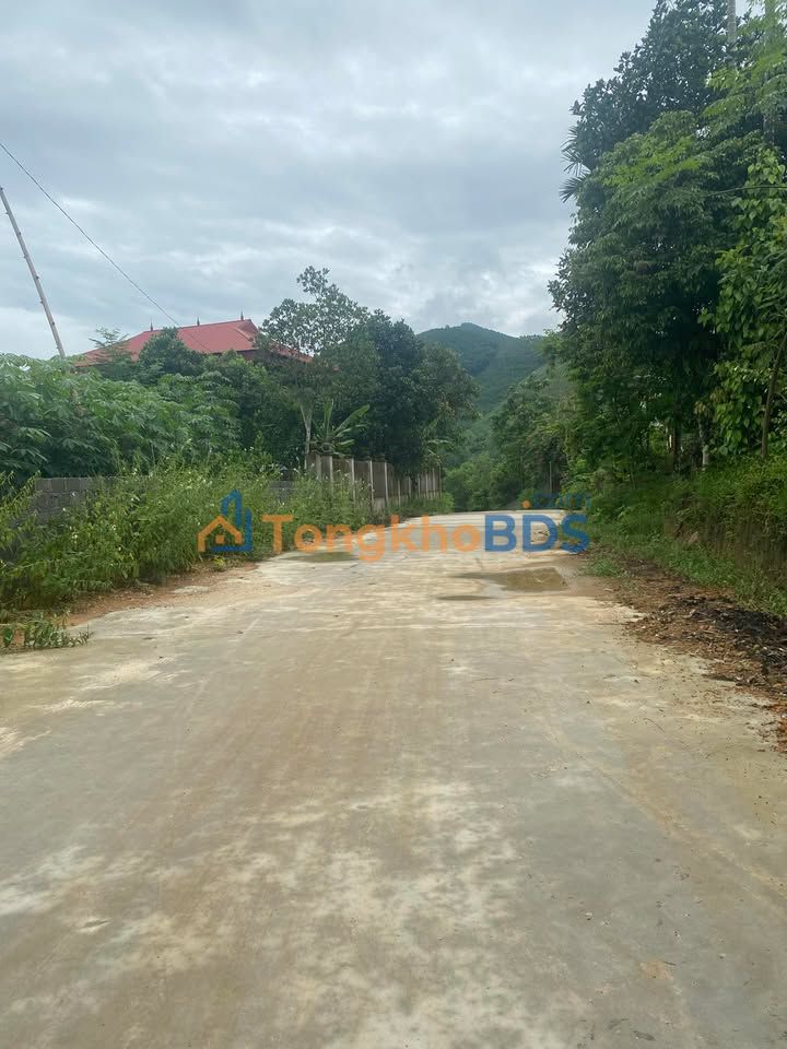 Bán Đất Vườn Yên Lập 1200m² - Sổ Đỏ Riêng, Giá 6xx Triệu