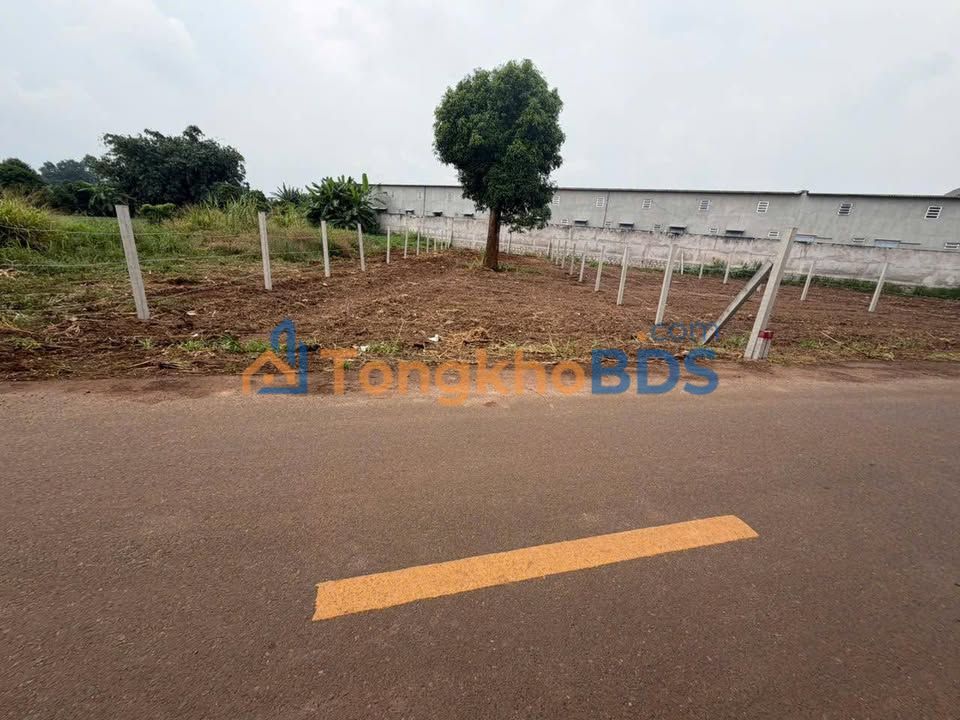 Đất nền Lê Thị Hồng Gấm Đất Đỏ 250m² 1.9 tỷ - Sổ đỏ chính chủ