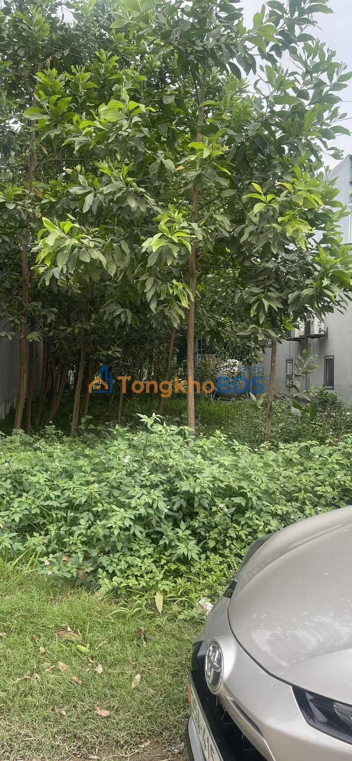 Bán Đất Mặt Tiền Quốc Lộ Xuân Mai 150m² Giá 2.3 Tỷ - Kinh Doanh Sầm Uất