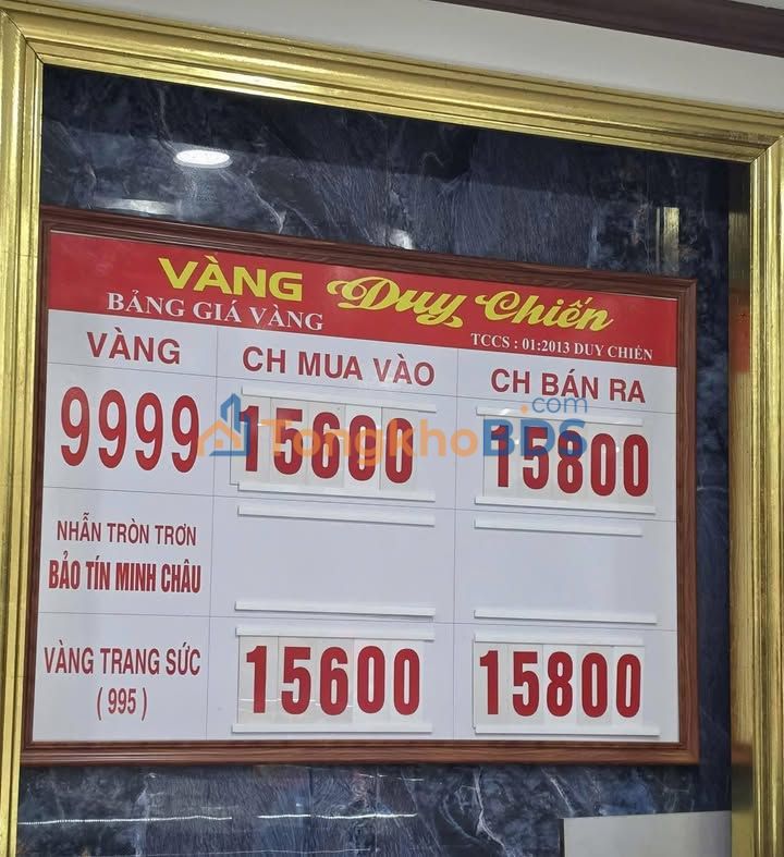 Đất Nền Mặt Đê Hồng Dũng, Thái Thụy - 250m² Sẵn Sàng Xây Dựng