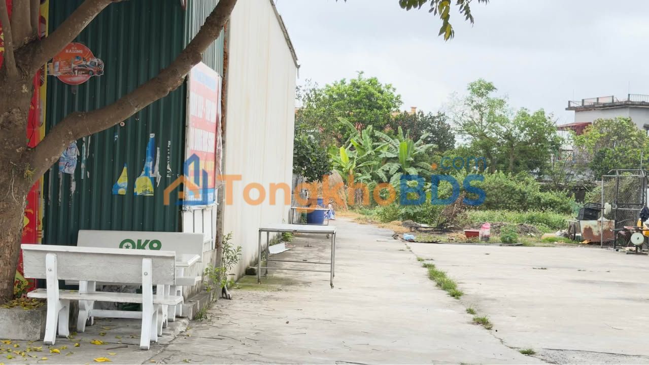 Đất nền Bắc Bình Cách 203m² - Đường to ô tô