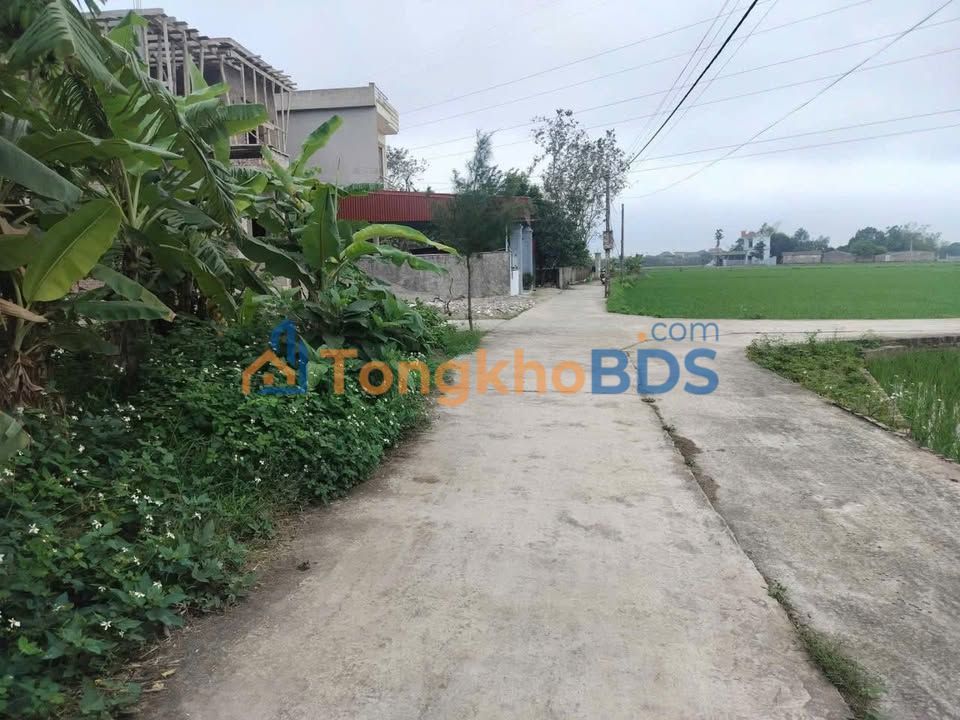 Đất Liên Giang Đông Hưng 155m² 850 triệu - Giá tốt hiếm có