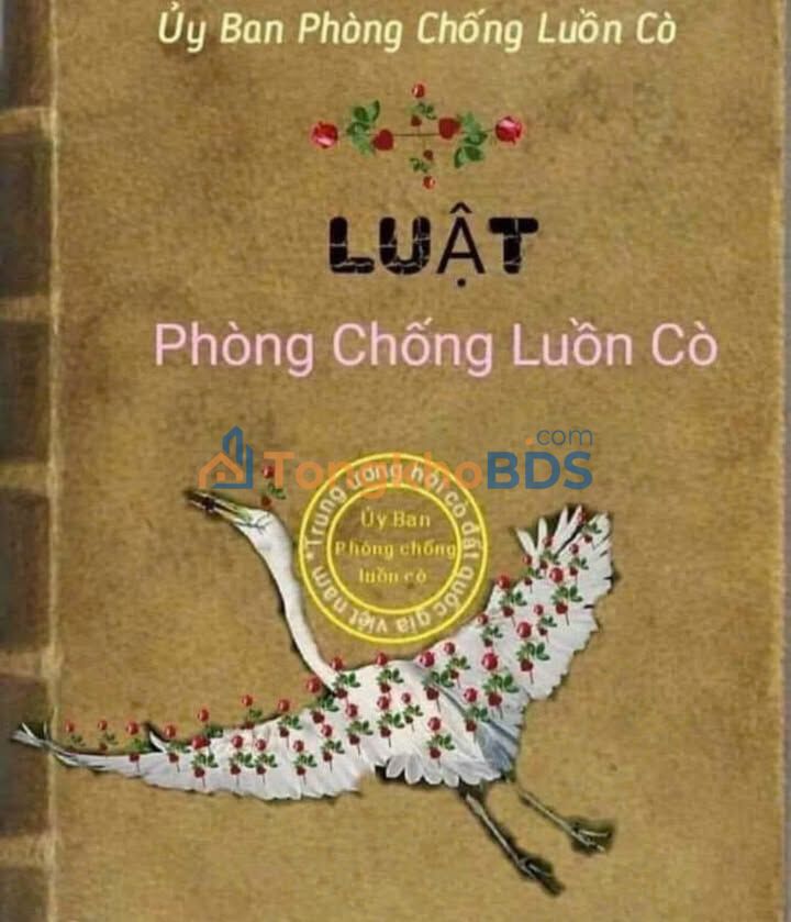 Nhà Góc 2MT Bãi Trước 110m² - Sổ Hồng Riêng, Sẵn Sàng Kinh Doanh Homestay Cao Cấp